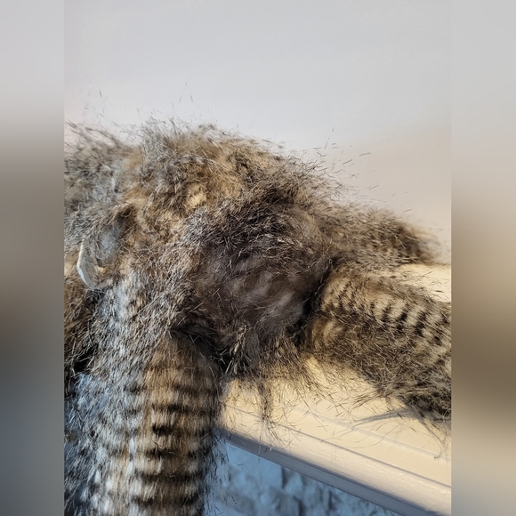 Sloth Plush 12in with Heavy Bottom by Hobby Lobby Stuffed Animal Display Plush - Picture 13 of 13